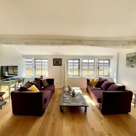 Le Loft Verdun Exposition Sud Emplacement 80m2